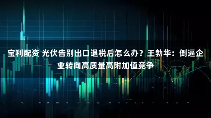 宝利配资 光伏告别出口退税后怎么办？王勃华：倒逼企业转向高质量高附加值竞争